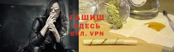 гашик Алексеевка
