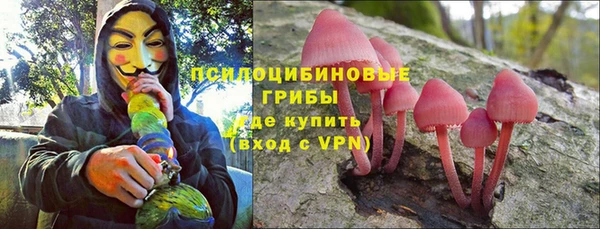 гашик Алексеевка