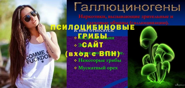 гашик Алексеевка
