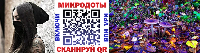 Галлюциногенные грибы Psilocybe  дарнет шоп  МЕГА tor  Лахденпохья 